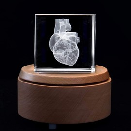 3D Human Heart Anatomical Model Paperweight(Laser Etched) in Crystal Glass Cube Science Gift (Included LED Base)