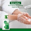 Dettol Original everyday Protection Liquid Handwash - 200ml