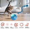 Petayouj Interactive Cat & Small Dog Toy Ball - Advanced