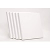 ADEPTNA Pack of 5 Artist Blank Stretched Canvas Frames -