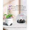 Meshpot 10 cm Orchid Pots with Holes, Set of 2,