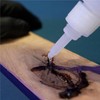 TotalBoat Thick CA Glue - TotalBond Cyanoacrylate Super Glue Adhesive