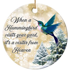 Rigufu 2024 Christmas Orrnament Hummingbird Visits Your Yard Ceramic Ornament – Perfect for Family & Christmas Tree Décor