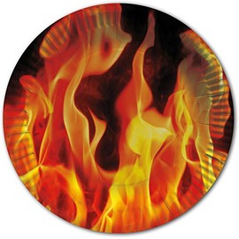 DH-Konzept 10 Paper Plates Fire for Birthday, Barbecue or Party // Birthday Theme Party Plates Summer Garden BBQ Barbecue Chilli