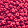 Red Raspberry Seeds for Planting 100+ Pcs Seeds Heirloom Non-GMO