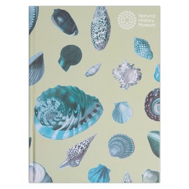 Natural History Museum A5 Shells Hardback Sketchbook, White Paper, Ideal Sketchbook for Adults, Art Notebook for Artists and Kids, Creative Book for Paint, Pencil, Drawing, Doodling, and Colouring