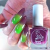 Parrot Polish Plums and Mints Thermal Nail Polish Plum to