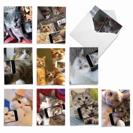The Best Card Company 10 Assorted Thank You Notecards Bulk Box Set 4 x 5.12 Inch with Envelopes (10 Designs, 1 Each) Cats Selfie M4953TYG-B1x10