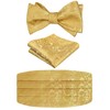 Alizeal Men's Modern Paisley Cravat & Pocket Square Set, 133-Golden