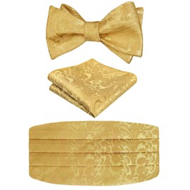 Alizeal Men's Modern Paisley Cravat & Pocket Square Set, 133-Golden Olive