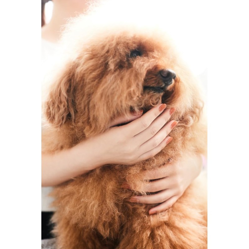 noiro Nail Color S062 0.4 fl oz (11 ml)