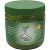 Gel fijador de cabello a base de Romero y SÃƒ¡bila