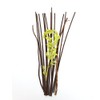 Hosley's 12.5" Botanical Diffuser Reeds - Green/Brown, Aromatherapy Essential Oils