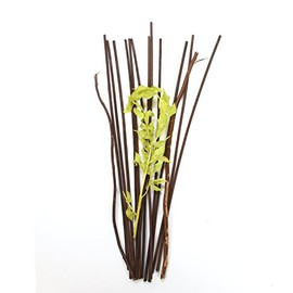 Hosley's 12.5" Botanical Diffuser Reeds - Green/Brown, Aromatherapy Essential Oils for Room Decor, for Women, Perfect for Weddings, Home Office, Meditation