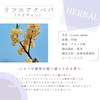Ritsakbeba Ritsakbeba Meichan, 0.1 fl oz (5 ml), e-aroma Essential