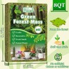 Halatool 6OZ Green Moss for Indoor Plants, 8QT Orchid Moss