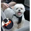 Correa O Cinturon De Seguridad Para Perro