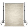 Kate 5×7ft Shallow Grey Portrait Backdrop Abstract Microfiber Smoking Light