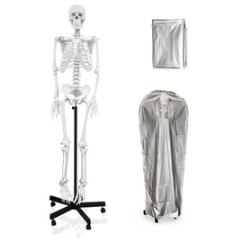 Vision Scientific VAS201-DC Medical Grade Full Size Human Skeleton-66” W Zip Dust Cover | Wired for Natural Movement | Sectional Skull Cap, Suture Lines, Full Dentition | On Roller Base W Manual