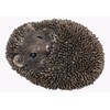 Frith Sculpture Cold Cast Bronze Baby Hedgehog Asleep Statue Ornament
