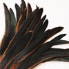 Colorful Rooster Tail Feathers-50PC 10-12inch Natural Long Rooster Tail Feathers