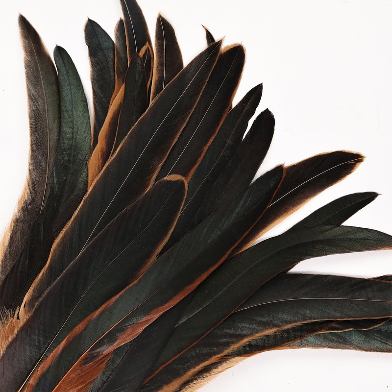 Colorful Rooster Tail Feathers-50PC 10-12inch Natural Long Rooster Tail Feathers