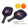 Pickleball Set 2 Rackets 4 Balls 1 Racket Bag Glass