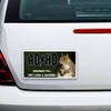 ADHD Bumper Sticker - Highway to... Hey Look, a Squirrel!