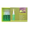 Salerm Ampolleta Salerm Mega Acondicionadora 12 Unidades 5ml C/u