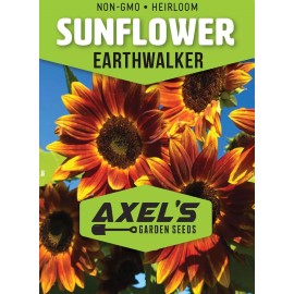 Axel's Garden Seeds Earthwalker Sunflower Seeds - Heirloom Non GMO Open-Pollinato - 25 Seeds