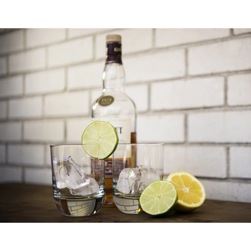 Kitch 4 Pack BPA Free Ice Cube Trays Made in
