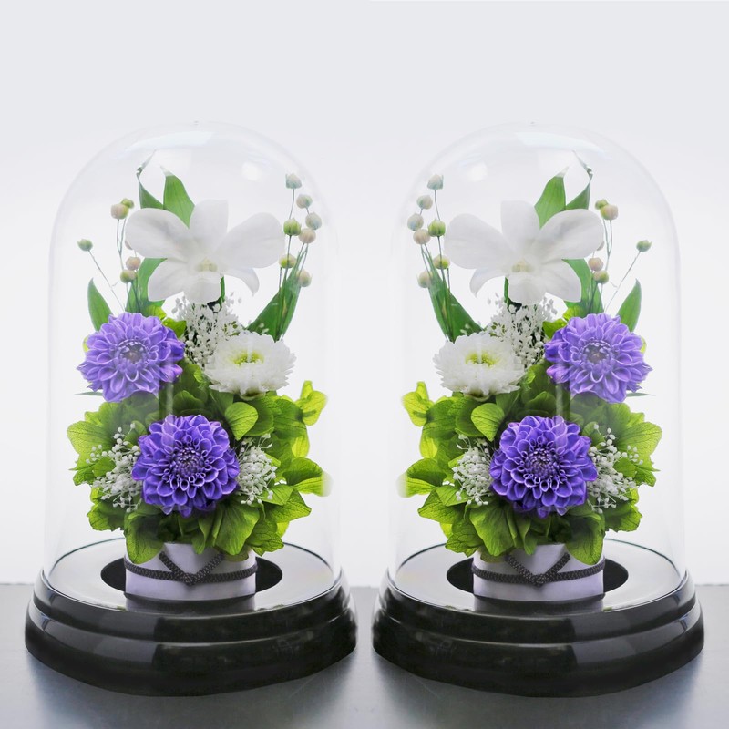Art Four Seasons Flower Vs. Design SET Lira Preserved Flower