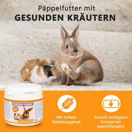 Alfavet Poplar food with healthy herbs