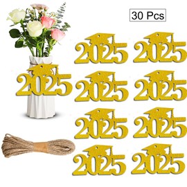 30Pcs 2025 Glitter Graduation Cutouts Tags Banners 2025 Graduation Party Decoration Tags for Mason Jar Table Centerpieces Class of 2025 Graduation Cutouts Tags Sign for Vase
