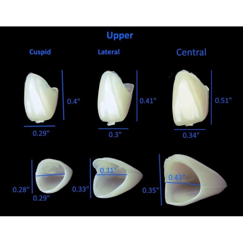 Mixed Sizes Dental Temporary Crown Kit Anteriors Box/50