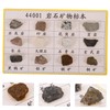 Mobestech Educational Mineral Rocks Collection 12 Specimens Portable Set Geology
