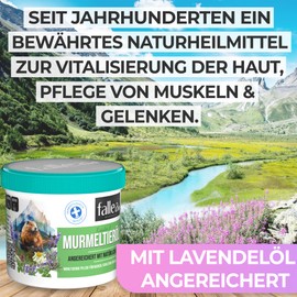 Fallea Marmot Ointment Original Vital Care | Soothing Active Ingredient Mix of Camphor, Lavender Oil, Rosemary Oil | Marmot Fat Ointment | Marmot Oil Ointment