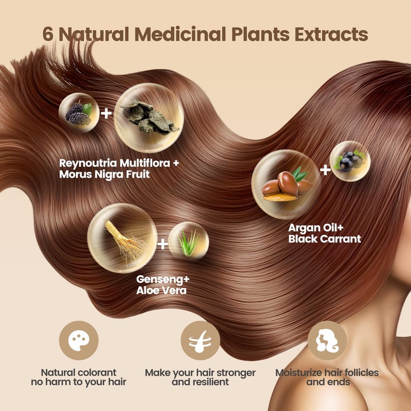 Limer Hair Dye Shampoo, Chestnut Brown 6-in-1 Natural Herbal Hair