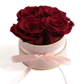 Rosmarie Schulz Heidelberg Rose Box, White Round Infinity Rose, Flower Box Preserved Rose