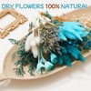 WGXX 12 Kinds DIY Natural Dried Flower Set Bulk Dried