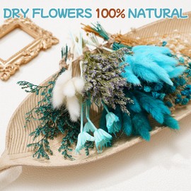 WGXX 12 Kinds DIY Natural Dried Flower Set Bulk Dried Flowers for Vase Handmade DIY Mini Flowers Bouquet for Crafts Arts Wreath Table Home Decor (Blue)