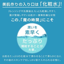 PLuS Lotion, Moisturizing Silk Lotion, Highly Moisturizing Silk Hyaluronic Acid (Made in Japan) (16.9 fl oz (500 ml) / Pouch Type)