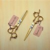 Remmar Co Set 2 Tijeras + Peines 6 Estilista Barbero