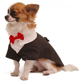 Pooch Outfitters PRRT-S Ruff Tux Dog Tuxedo, S