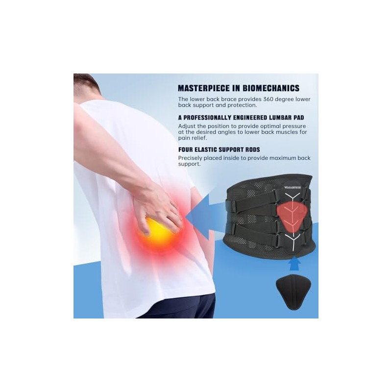 Cinturón de apoyo lumbar ajustable para hombres y mujeres, soporte