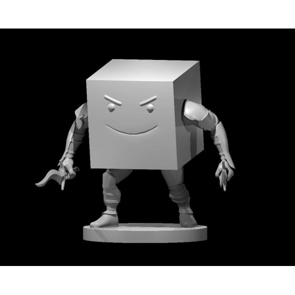 D6 Rogue Adventurer 28mm Scale DND D&D Tabletop Miniature