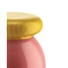 Alessi Totem Domestici ES18 2 - Design Salt, Pepper and