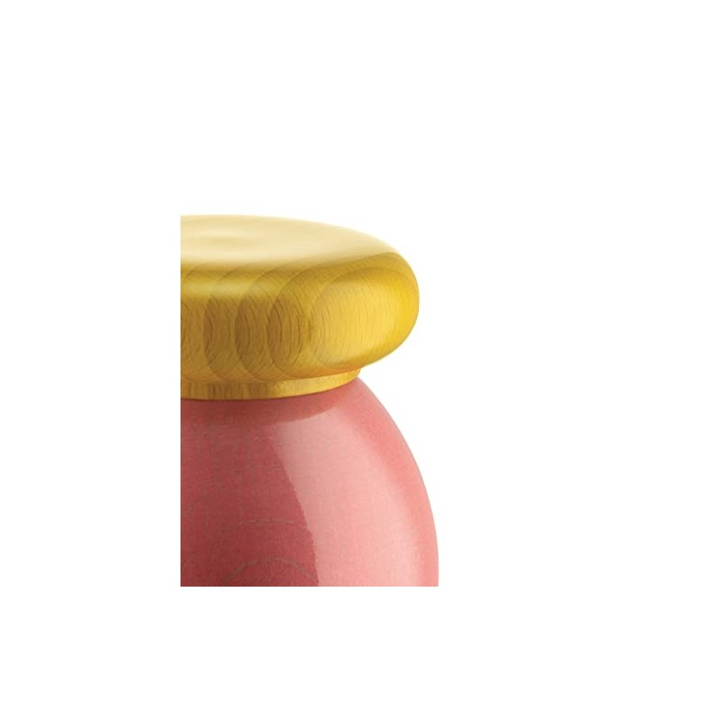 Alessi Totem Domestici ES18 2 - Design Salt, Pepper and