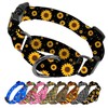 Kazazoo Martingale Collar for Dogs with Quick Release Buckle Adjustable