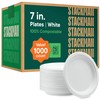 100% Compostable Paper Plates 10 Inch Bulk [500 Count] Heavy-Duty